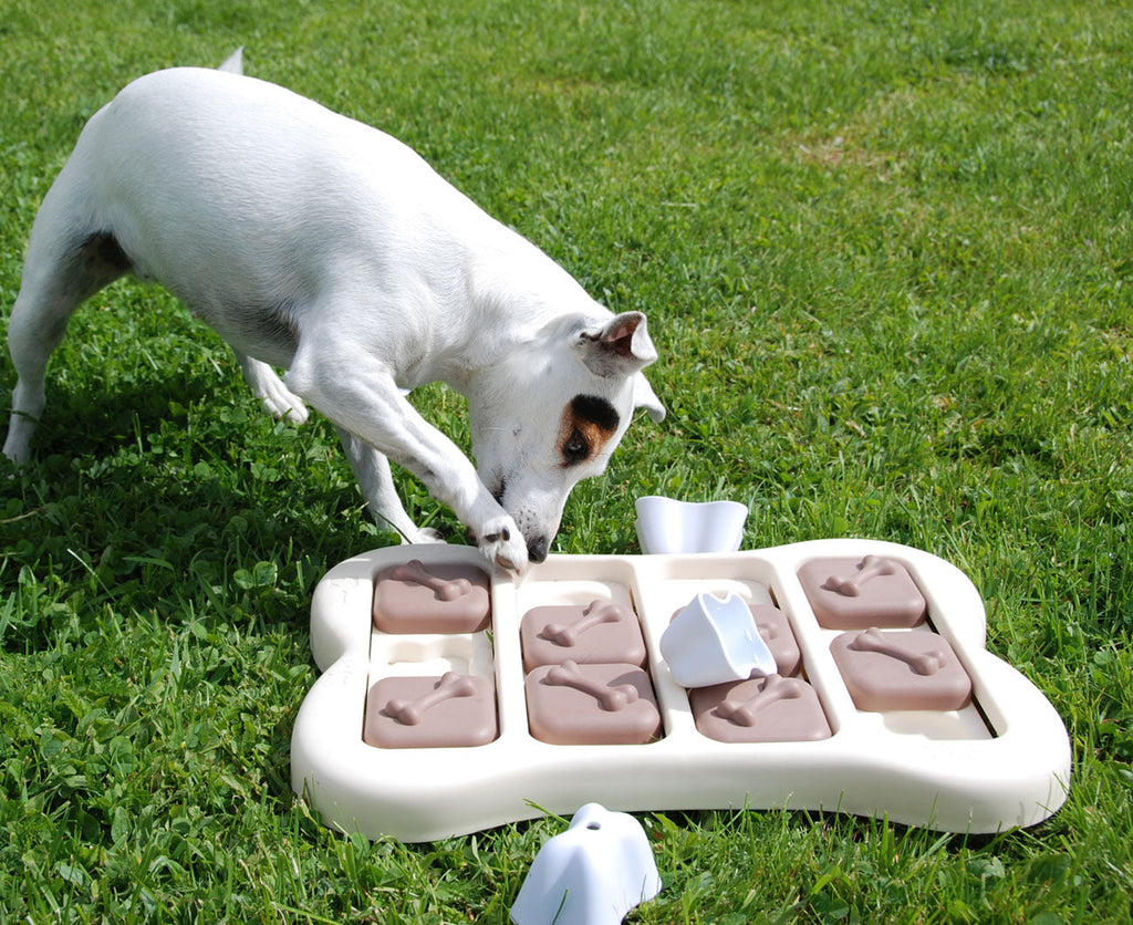 Nina Ottosson Brick Interactive Dog Toy