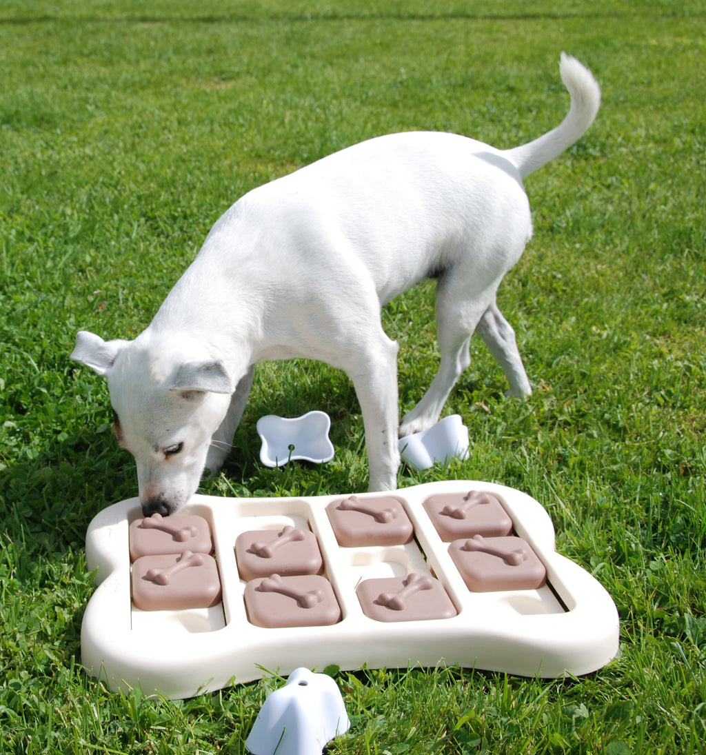 Nina Ottosson Brick Interactive Dog Toy