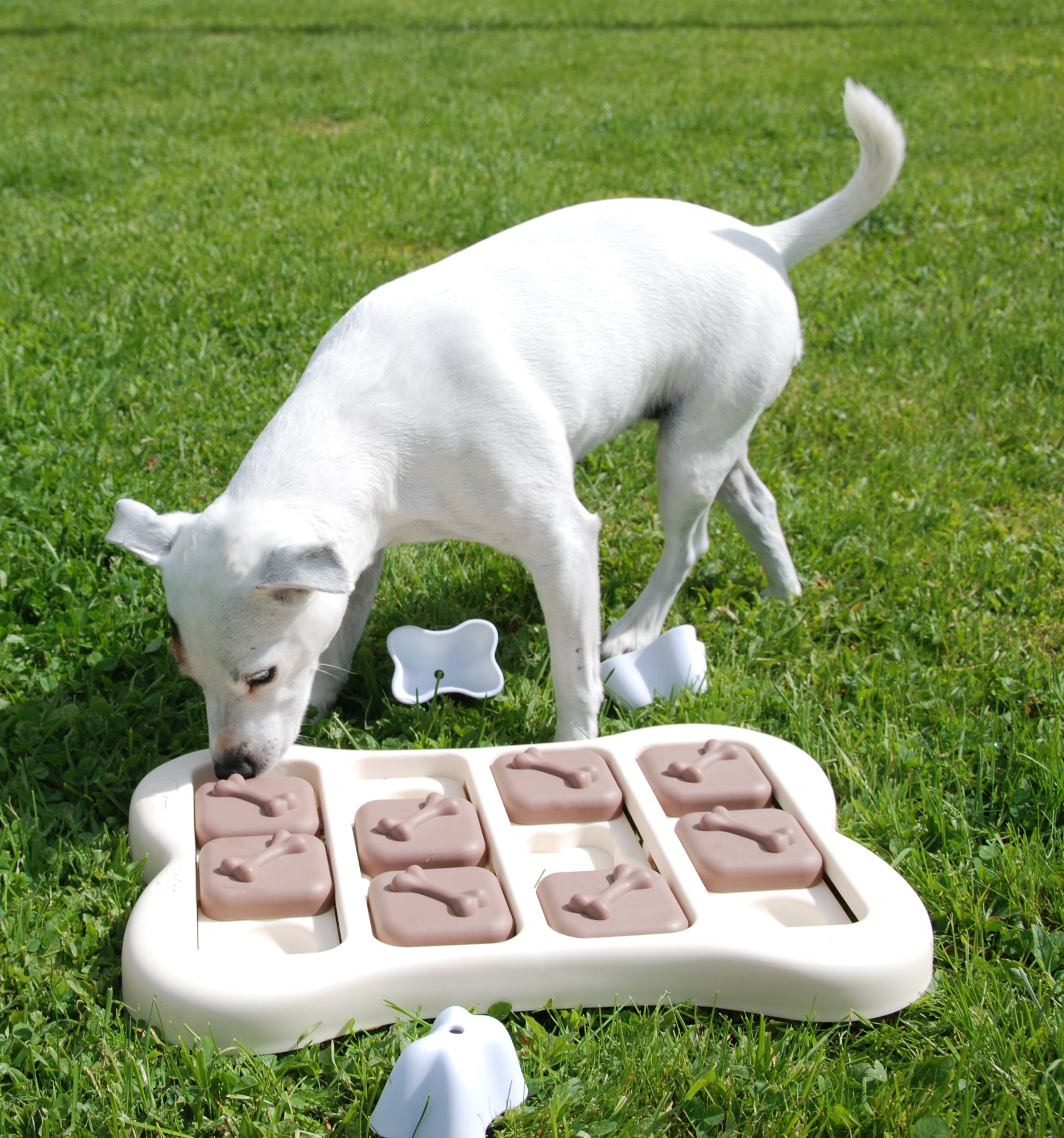 Nina Ottosson Brick Interactive Dog Toy