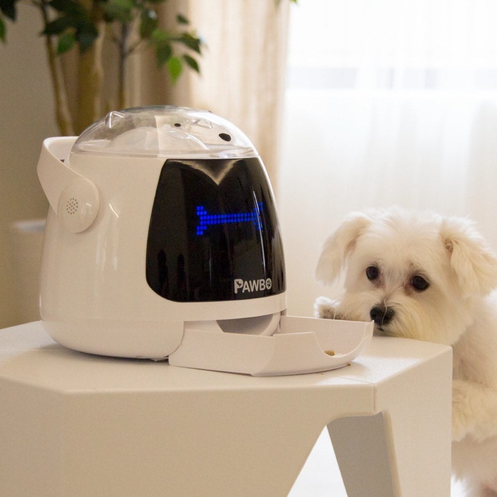 15% OFF: Pawbo Munch Smart Pet Treat Dispenser