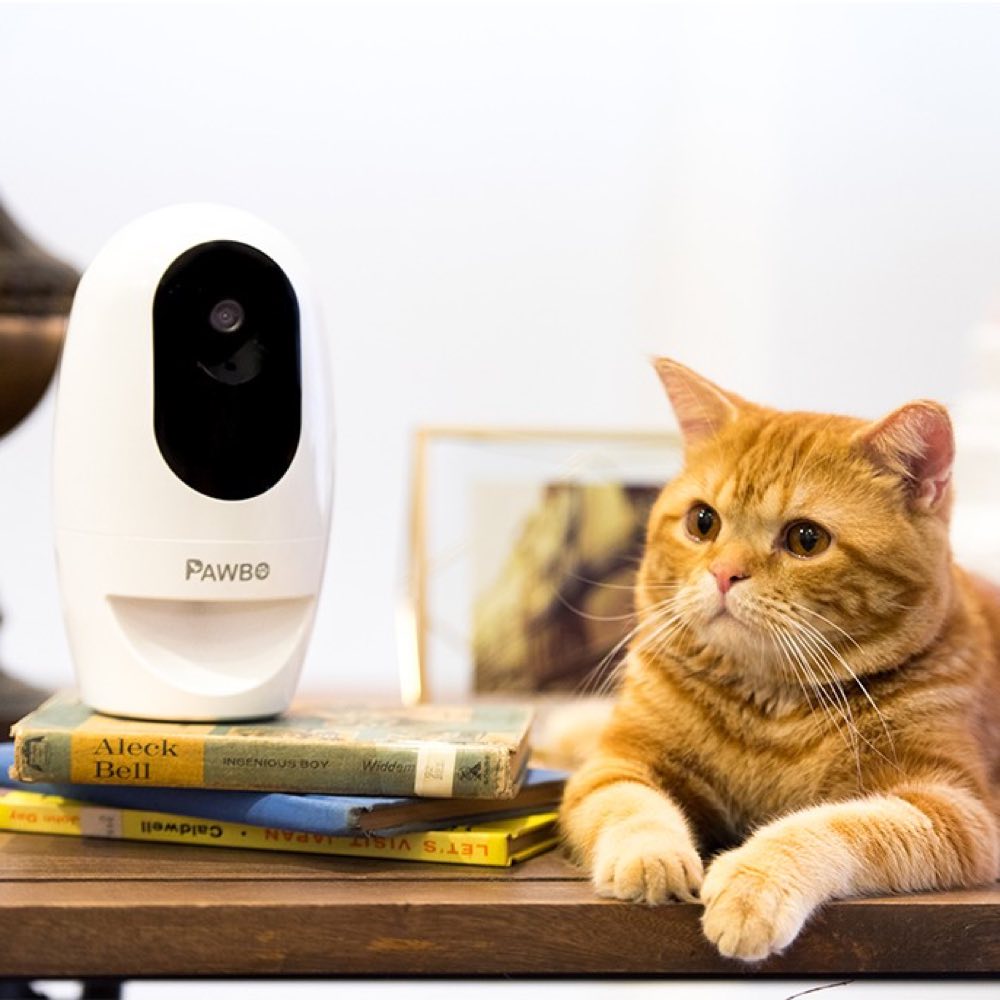 Pawbo+ Wireless Interactive Pet Camera