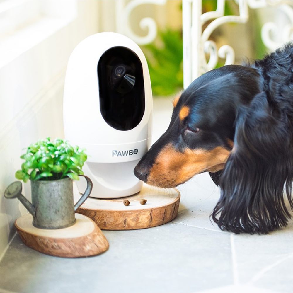 Pawbo+ Wireless Interactive Pet Camera