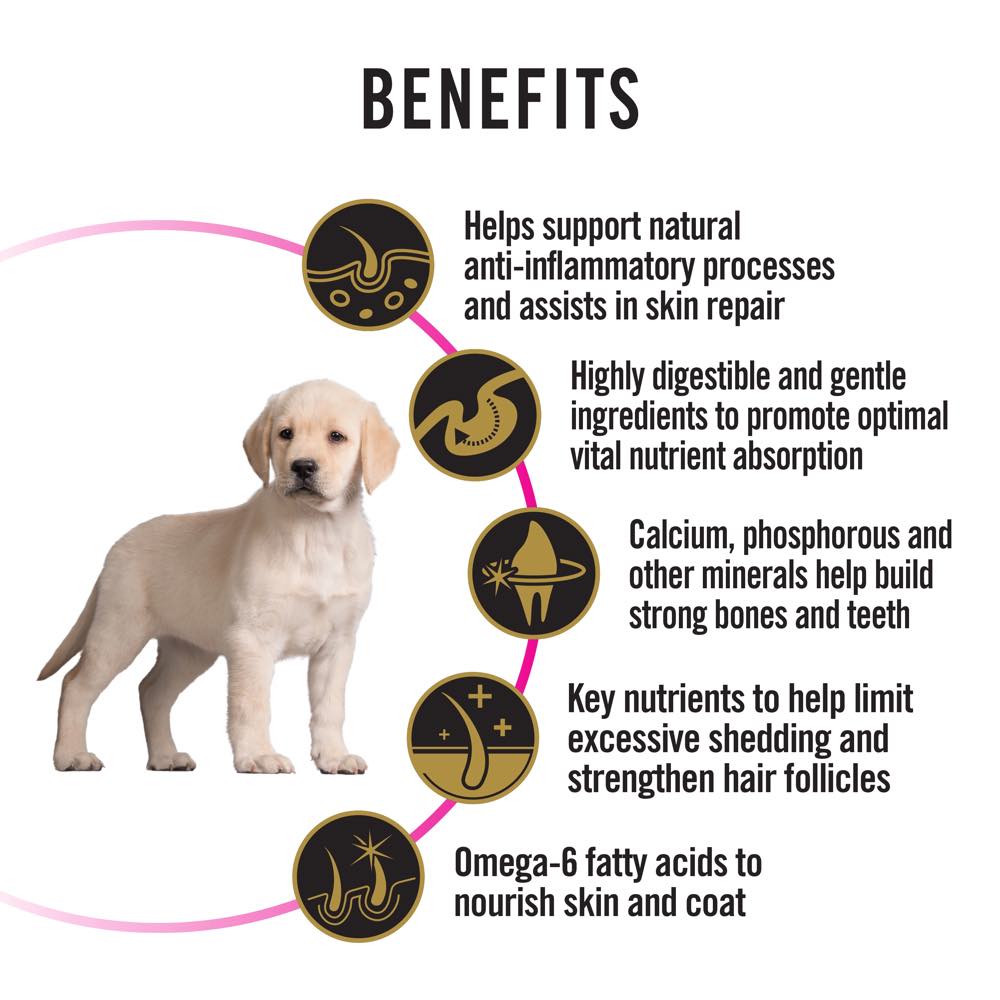 Pro Plan Sensitive Skin & Stomach Salmon & Mackerel Puppy Dry Dog Food